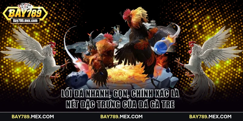 Lối đá nhanh, gọn, chính xác là nét đặc trưng của đá gà Tre