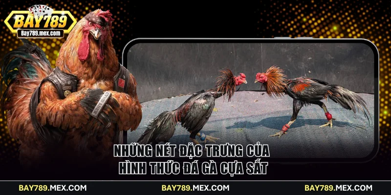 Những nét đặc trưng của hình thức đá gà cựa sắt