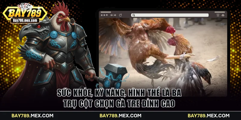 Sức khỏe, kỹ năng, hình thể là ba trụ cột chọn gà Tre đỉnh cao