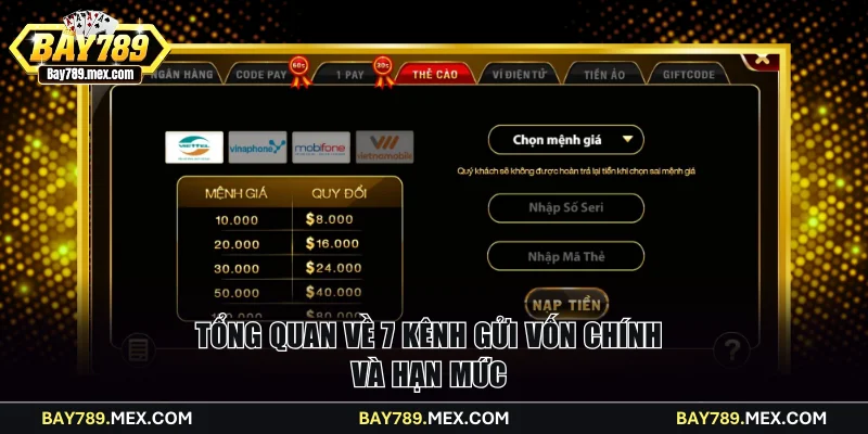 Tổng quan về 7 kênh gửi vốn chính và hạn mức